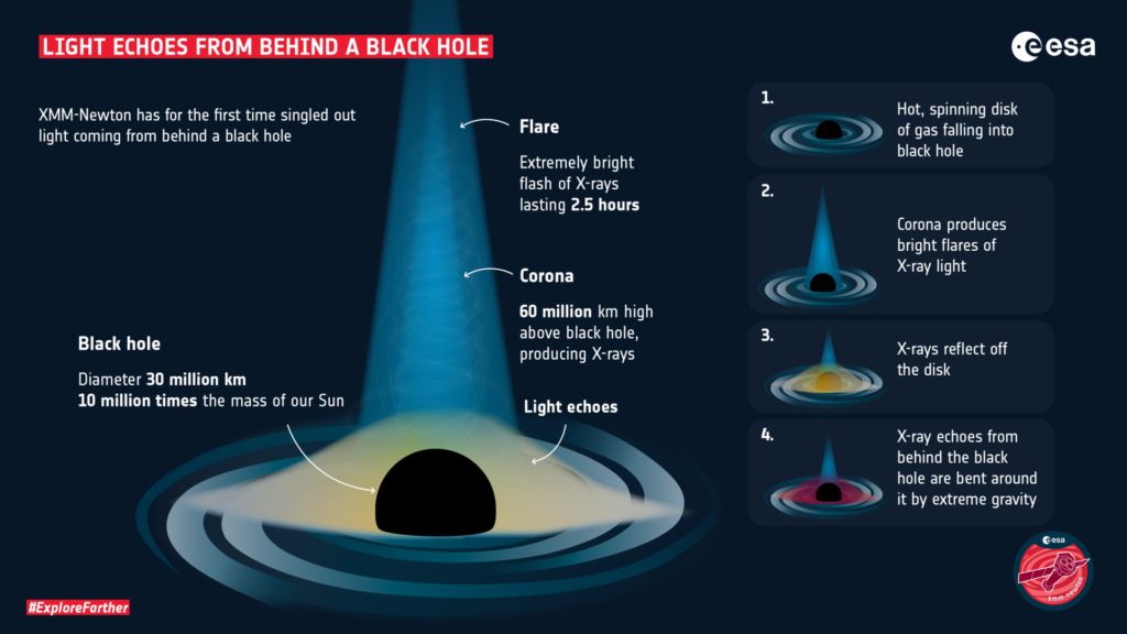 Black Hole Dynamics